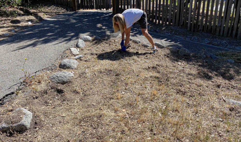 Anne pulling weeds