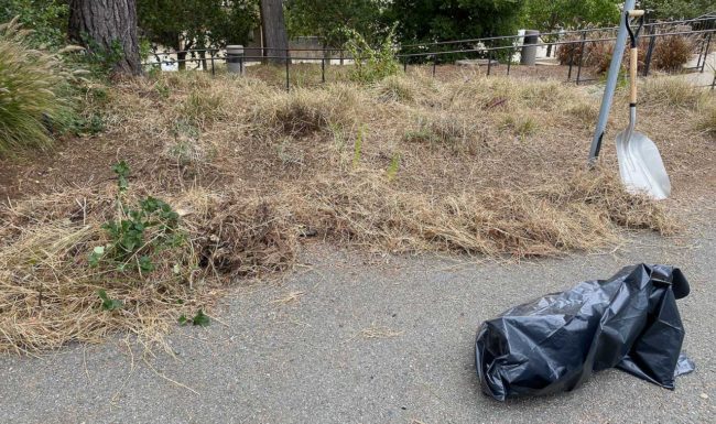 Bags near front steps