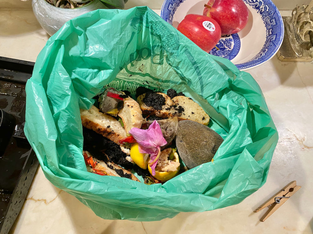 Food waste in biobag