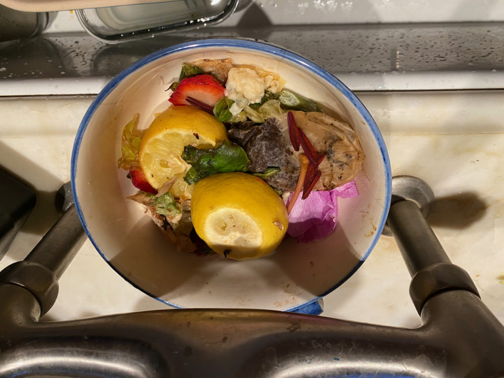 Food waste in bowl