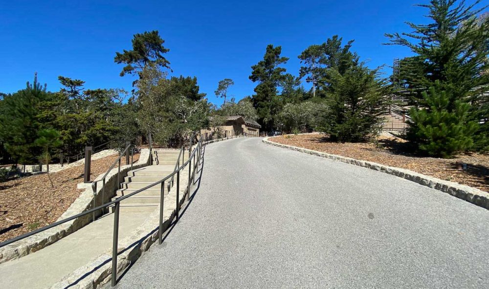 Forest Theater Looking Up hill after