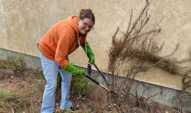 Janie cutting dead plants