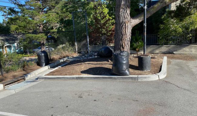 Leaves bagged in parking lot corner