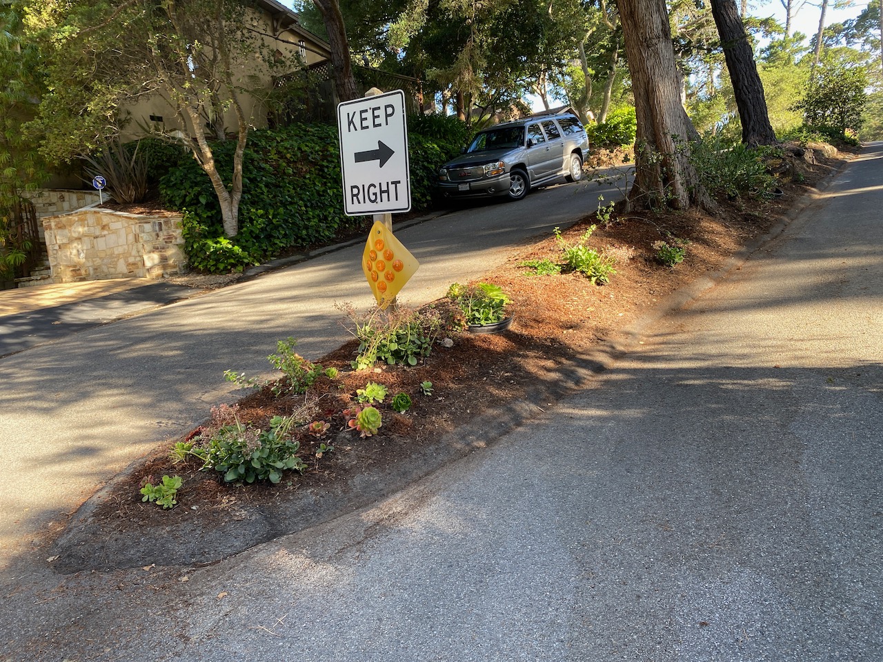 Nicely planted media