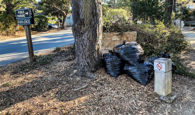 Vista Lobos Entrance with Trash