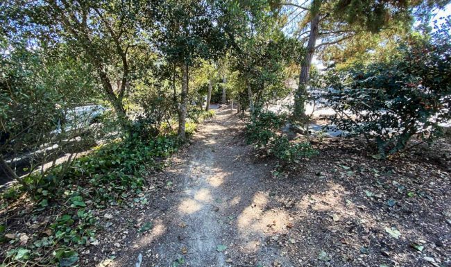 Vista Lobos Pathway East Side