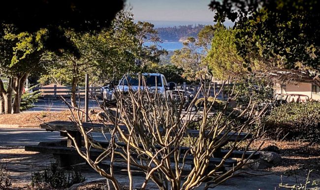 Vista Lobos Pt Lobos View