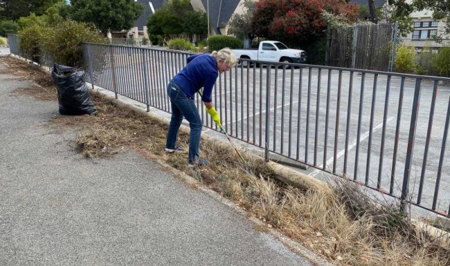 Clearling weeds along San Carlos