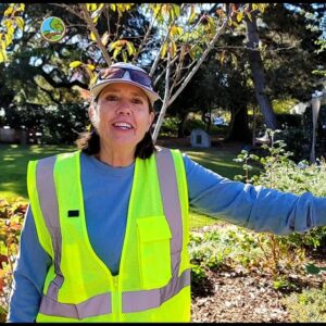 Maintaining Devendorf Park