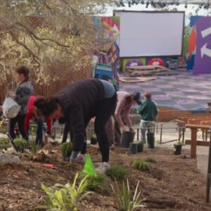 Planting for Forest Theater Landscape Restoration Project