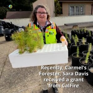 Carmel Youth Center Tree Seedling Planting