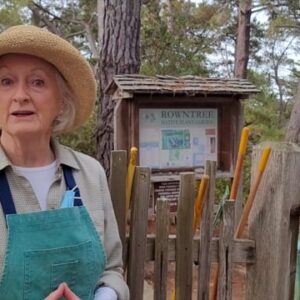 Lester Rowntree Native Plant Garden by Friends of Mission Trail Nature Preserve and Carmel Cares